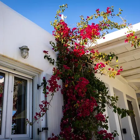 Artemis Villa