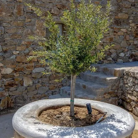 Artemis Mykonos Town