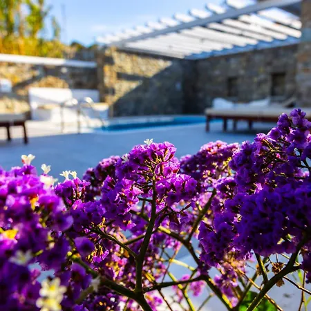 Artemis * Mykonos Town